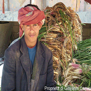 Yemen: Jibla-Ibb